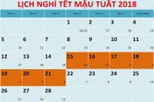 Thời gian nghỉ Tết Nguyên đán có được nâng lên thành 20 ngày?