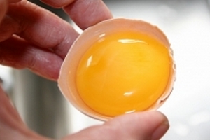 Ăn nhiều lòng đỏ trứng làm tăng nguy cơ mắc bệnh xơ vữa động mạch?