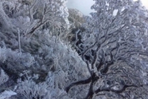 Băng tuyết bao phủ trên đỉnh Fansipan