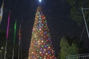 Chiêm ngưỡng cây thông độc nhất được kết từ 6.000 chiếc nồi đất ở Nghệ An