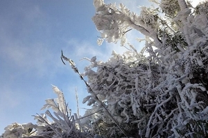 Nhiệt độ giảm kỷ lục, vùng núi Bắc Bộ rét âm 0,2 độ C