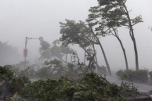 Dự báo thời tiết hôm nay 26/12: Hoàn lưu bão số 16 gây mưa rất lớn ở Nam Bộ