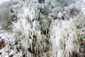 Dự báo thời tiết hôm nay 11/1: Nền nhiệt dưới 3 độ C, rét buốt bao phủ miền Bắc