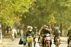 Dự báo thời tiết 13/1: Miền Bắc ấm dần lên