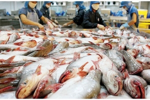 Hùng Vương lỗ thêm 640 tỷ đồng sau kiểm toán, nghi ngờ khả năng hoạt động liên tục