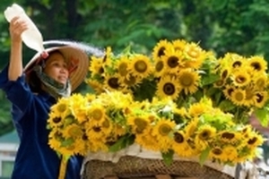 Dự báo thời tiết hôm nay 23/1: Miền Bắc hửng nắng, nhiệt độ tăng nhanh