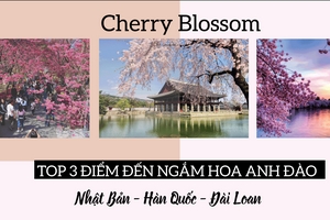 Top 3 điểm đến ngắm hoa anh đào đẹp nhất châu Á
