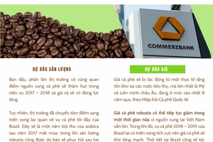 [Infographic] Liệu giá cà phê thế giới có thể phục hồi trong năm 2018?
