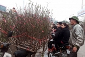 Thời tiết Tết Nguyên đán Mậu Tuất: Miền Bắc trời rét, miền Trung có thể có mưa và rét