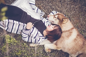 'Chú chó triệu view': Đại sứ hình ảnh của thương hiệu thú cưng nổi tiếng