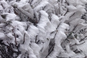 Nhiệt độ lúc 6h ngày 30/1: Nhiều nơi rét buốt dưới 10 độ, học sinh có được nghỉ học tránh rét?