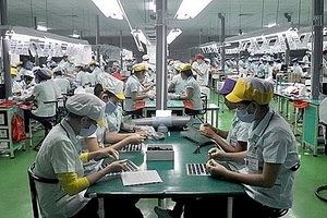 Thưởng Tết bằng thuốc trừ sâu, phân bón