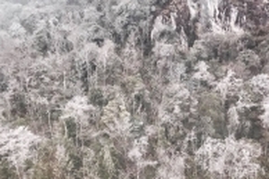 Dự báo thời tiết 6/1: Miền Bắc có nơi -1 độ, Đà Lạt rét 9 độ