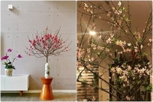 Sắc hoa đào dịu dàng nở đón mùa xuân sang trong những ngôi nhà Việt