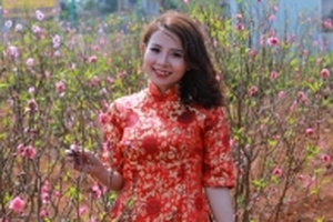 Hoa đào xứ bắc thắm sắc Tây Nguyên