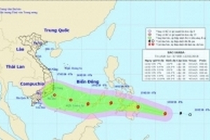 Bão Sanba giật cấp 10, tiến sát biển Đông những ngày giáp Tết