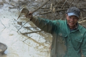 Lạnh 'thấu xương', dân dầm mình giữa bùn bắt cá bằng tay không