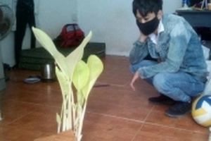 Sau kì nghỉ Tết, phòng trọ sinh viên bỗng dưng mọc cây chuối giữa nhà khiến cộng đồng mạng tranh cãi