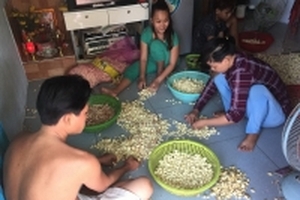 Sài Gòn: Rát tay, cay mắt bóc hành tỏi, nhận 2 nghìn đồng/kg