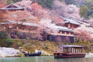 Không chỉ có hoa đào nở đẹp, còn 4 lý do khác để bạn quyết đến Nhật trong tháng 3 này