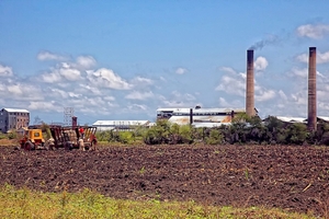 Cuba xuất khẩu đường thô trở lại sau siêu bão Irma
