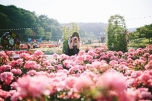 Hot nhất hôm nay 8/3: Lễ hội hoa hồng Bulgaria và đêm nhạc 'Người hát tình ca' Uyên Linh - Quang Dũng