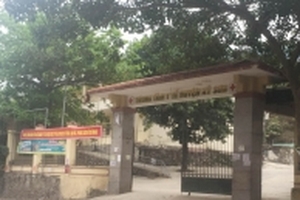 Uống rượu ngâm rễ cây: 3 người chết, 1 nguy kịch