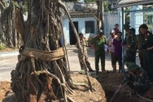 Đào gốc cây bồ đề, tá hỏa phát hiện 40 quả pháo