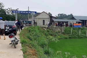 Tạm dừng hoạt động lò mổ gia súc có lợn mắc bệnh lở mồm long móng