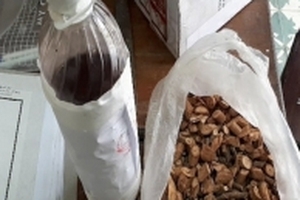 3 người tử vong, 1 người nhập viện sau bữa cơm: Rượu có ngâm cây lá ngón