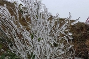 Ảnh hưởng của gió mùa, Mẫu Sơn chuyển rét hại 8,8 độ C