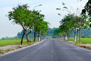 Lý do người Việt thích gom mua đất