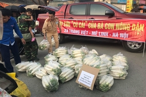 CSGT Hà Nội 'giải cứu' củ cải trắng rớt giá giúp người dân