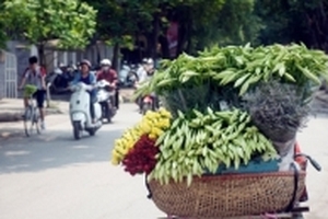 Dự báo thời tiết hôm nay 25/3: Hà Nội đón nắng đẹp ngày cuối tuần