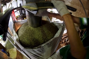 Giá cà phê hôm nay (26/3) vẫn giảm ở vài nơi, giá hồ tiêu phục hồi nhẹ