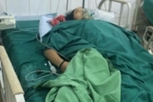 Nghi do ăn phải nấm độc, 2 người tử vong, 2 khác nguy kịch