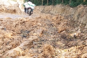 Dân than trời vì phải vượt hơn 5km đường vào rẫy đầy 'sóng trâu'