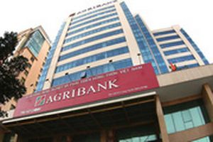Agribank lãi ròng 5.414 tỉ đồng nửa đầu năm, nợ xấu tăng gần 40%