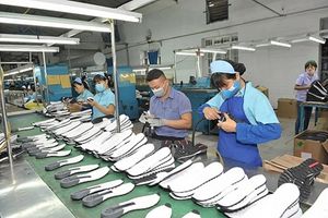 Thanh Hóa sắp có thêm nhà máy da giày hơn 300 tỷ