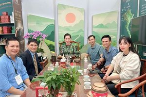 Hacoocha lan tỏa hương vị đại ngàn tại Tea Masters Cup Vietnam 2025