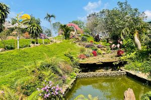 Hà Tĩnh tiên phong thí điểm du lịch thông minh cấp quốc gia