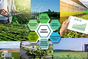 Các công ty nông nghiệp đẩy mạnh chuyển đổi, ứng dụng công nghệ số