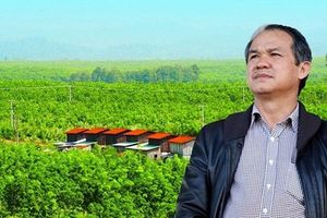 Ông Trần Bá Dương trở thành Chủ tịch HAGL Agrico