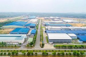 Quảng Trị phê duyệt Đồ án Quy hoạch Khu công nghiệp trị giá hơn 2.000 tỷ
