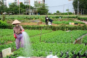 Ngành Nông nghiệp Việt Nam: Khởi đầu ấn tượng và tiềm năng bứt phá trong năm 2024