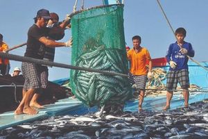 Ngành thủy sản: Dấu hiệu phục hồi xuất khẩu cá tra trong quý 4/2022