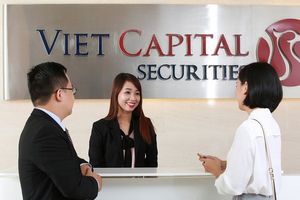 Chứng khoán Bản Việt chuẩn bị chia cổ tức bằng cổ phiếu tỷ lệ 30%