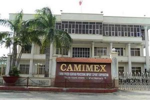 Camimex chào bán riêng lẻ 30 triệu cổ phiếu giá 11.700 đồng/cp