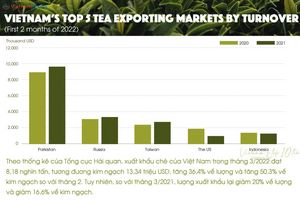 10 nhà xuất khẩu chè hàng đầu của Việt Nam(Q1/2022)