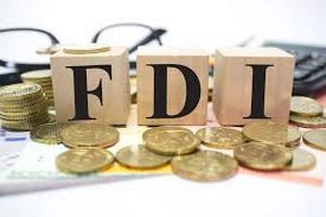 VDSC: Dòng vốn FDI trên toàn cầu